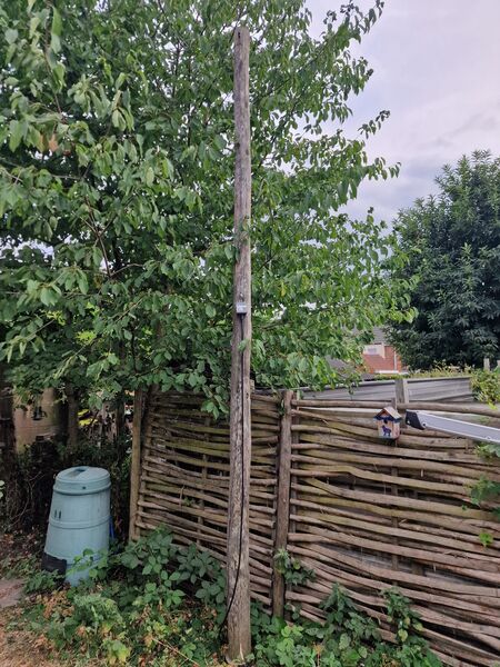 pole